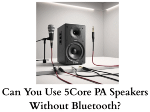 Can You Use 5Core PA Speakers Without Bluetooth