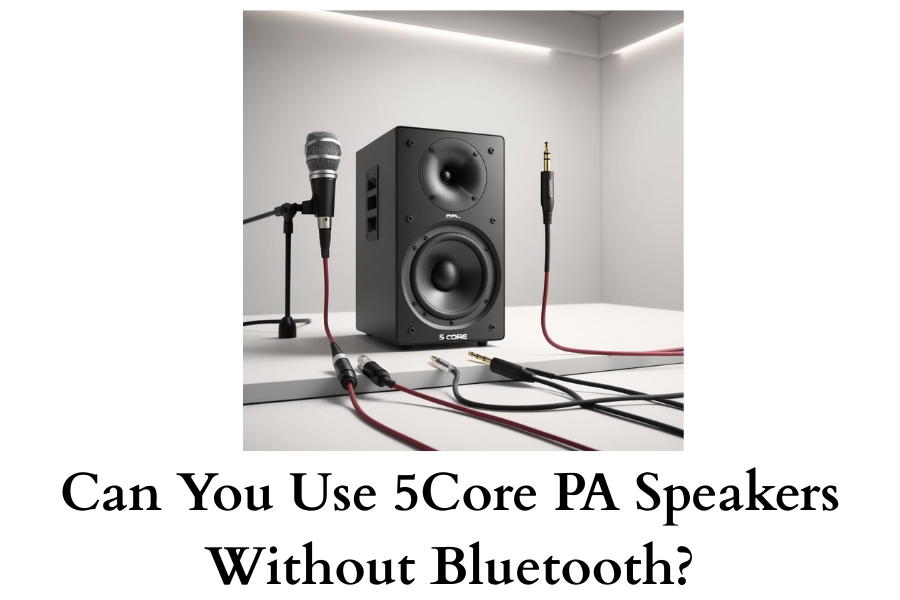 Can You Use 5Core PA Speakers Without Bluetooth